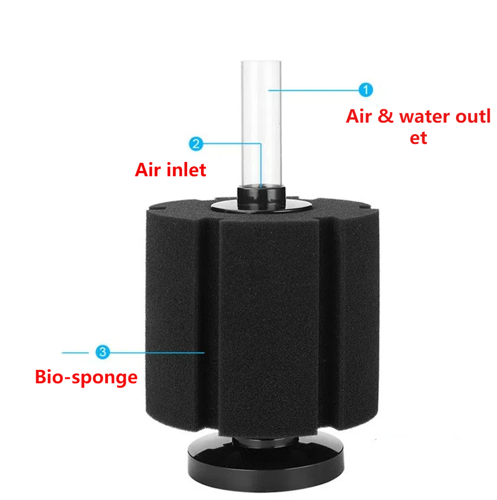 Aquarium Filter Schwamm Für Aq – Aquaculture Aerator Pump Bewertung und Preis